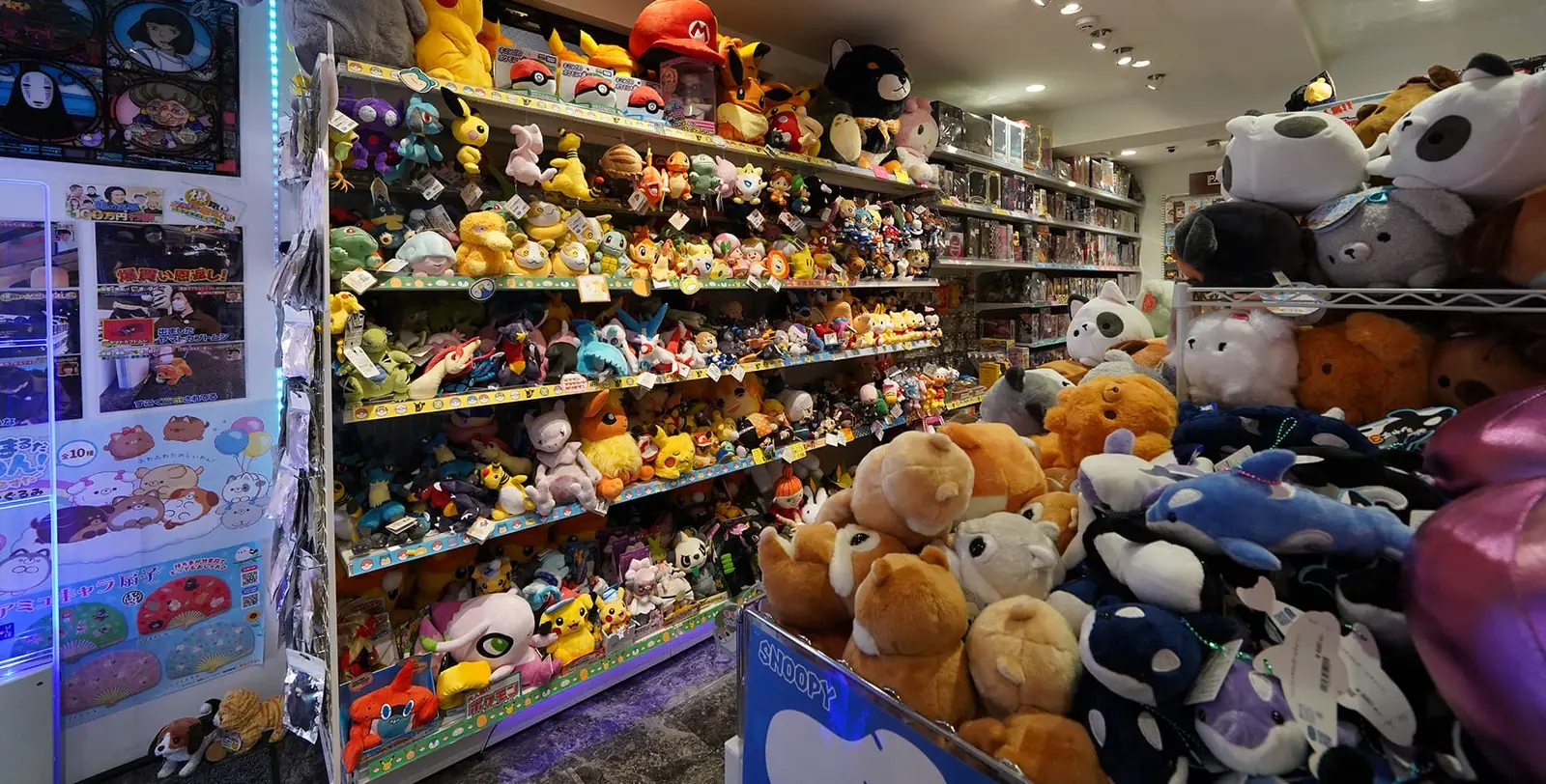 ジャパンゾン浅草店のぬいぐるみ売り場。ポケモンのぬいぐるみが棚一面に並ぶ